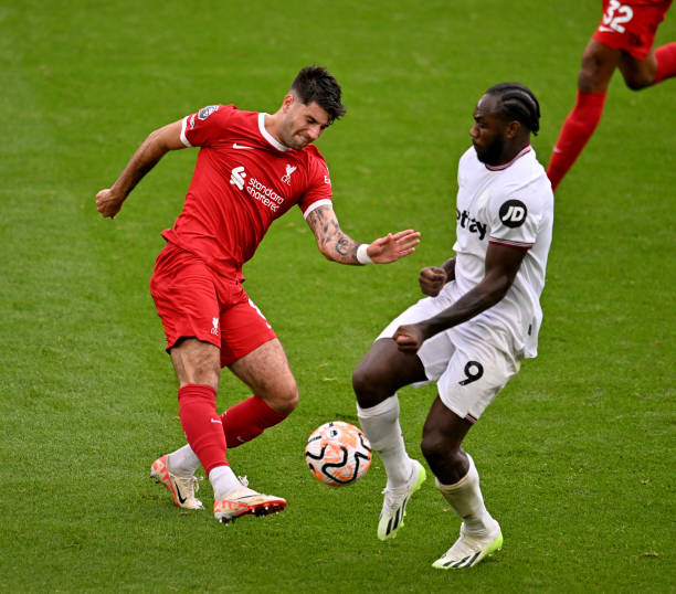 是高温酷暑 是高温酷暑